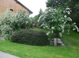 LES GALLINACES