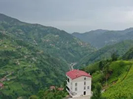 Burahan Suit Hotel