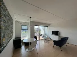 Copenhagen centre luxury apartment - Østerbro