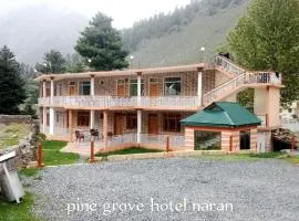 Hotel Pine Grove Naran
