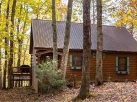 Mountain Time Cabin, Hot tub, Fire Pit, Fireplace，位于蓝岭的酒店