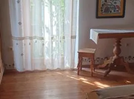 Mājīga istaba ar balkonu un vannasistaba, bezmaksas velo noma