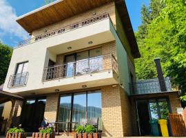 Vila Tarnita，位于克卢日-纳波卡的酒店