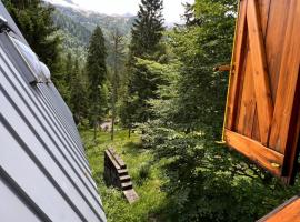 ~Chalet_Rifugio tra i boschi~，位于塞拉内瓦的酒店
