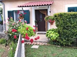 Holiday home "Goga" ruralna kuća