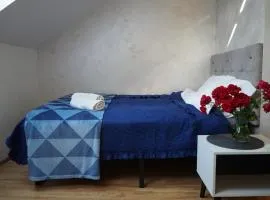 Apartament w centrum OSTOYA 1