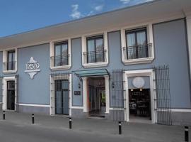 TRES79 Hotel Boutique Orizaba，位于奥里萨巴的酒店