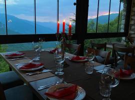 Hotel Neda Galichnik，位于Galičnik的酒店