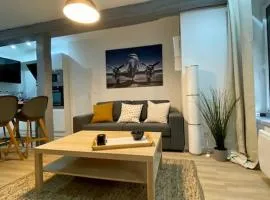 Appartement T2 plein centre de Bray sur Seine