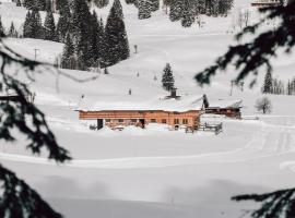 Hasenalm，位于施利尔塞的乡村别墅