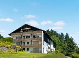 Nice Apartment In Oberreute With Wifi And 1 Bedrooms
