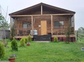 Wooden House Ashuri，位于Veltaurtkari的酒店