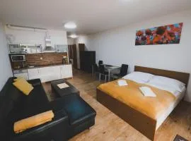 Apartmán Max Lipno