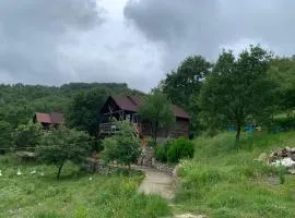 Origjina Farm