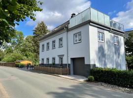 Ferienhaus Villa Adelsberg mit Dachterrasse in Zentraler Lage für bis zu 10 Personen，位于开姆尼茨的别墅