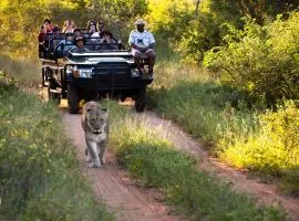 Karongwe Portfolio - Kuname Lodge