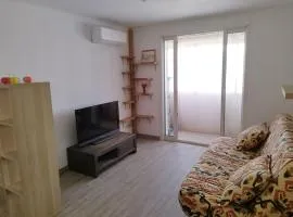 Appartement 2 pièces à Palavas à 30 mètres de la plage