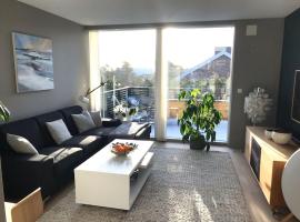 Lys leilighet med fine uteplasser，位于腓特烈斯塔的酒店