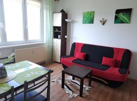 Apartmán v podhůří Krušných hor，位于索科洛夫的酒店