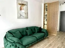 Apartament central 2 camere