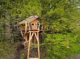 TREEHOUSE POD LESOM