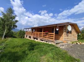 Cabana doi mesteceni，位于Drumu Carului的山林小屋