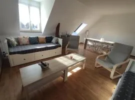 Superbe appartement - 5 mn du Zoo de Beauval (8p)