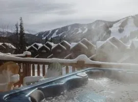 Hot Tub MTN Views - Free Shuttle - Central WP