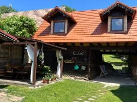 Casa veche “Old house”
