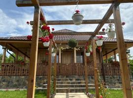 Casa Eden Fit，位于Făget的酒店