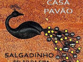 CASA PAVÃO (SALGADINHO - SELÃO DA EIRA)，位于圣特奥托纽的度假屋