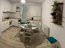 NELI HOME Apartament，位于雷京的酒店