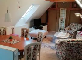 Ferienwohnung Bänsch，位于Weischlitz的酒店