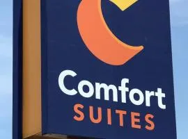 Comfort Suites near Route 66