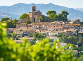 House in idyllic village between vineyards and sea，位于Saint-Pons-de-Mauchiens的酒店