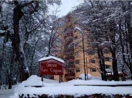 Nevados de chillan , edificio los coigues，位于奇廉内瓦达斯的公寓