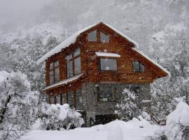 Cabañas Borde Rio Las Trancas，位于奇廉内瓦达斯的酒店