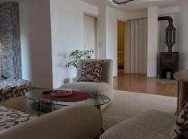 Apartman Saša，位于弗拉涅的酒店