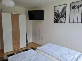 FarawayHomes Studio Rohrbach #4