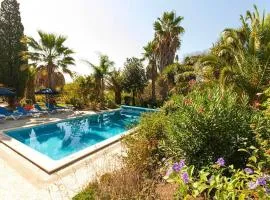 Quinta das Achadas - Mimosa