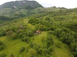 Almost Heaven - cabană cu vedere în Apuseni