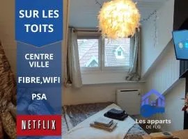 Sur les toits, studio centre-ville, WIFI Netflix