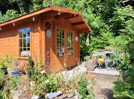 Tan y coed's Rosemary Cabin，位于康威斯诺多尼亚冲浪湖附近的酒店