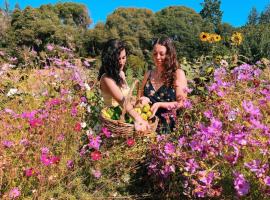 The Land - Luxury Retreat Center In Beautiful Nature - Bay Area Northern California，位于Philo的酒店