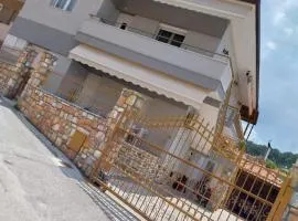 Megi Cozy Apartment Polygyros Chalkidiki