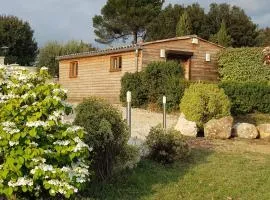 Chalet de charme climatisé sur la route du Ventoux