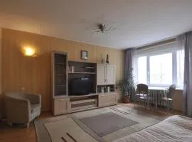 Bastrakovi Apartment