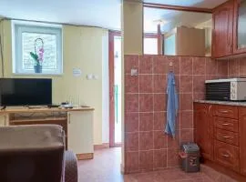Janković Apartmani u centru