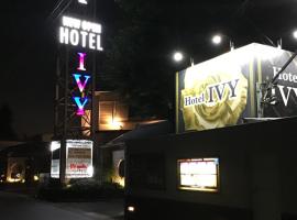 ホテルivy，位于Iwatsuki的情趣酒店