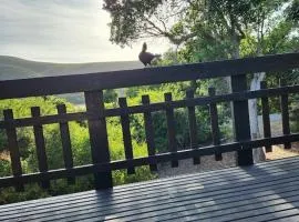 Nature's Edge Cabin